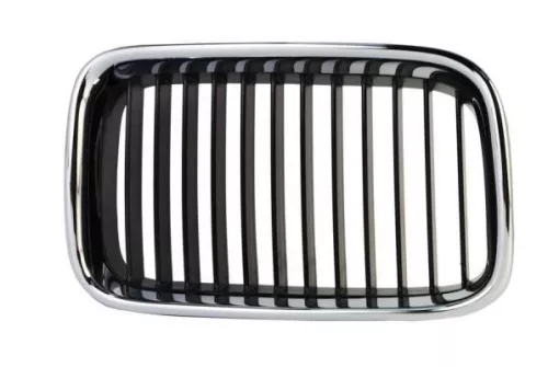 Radiator Grille