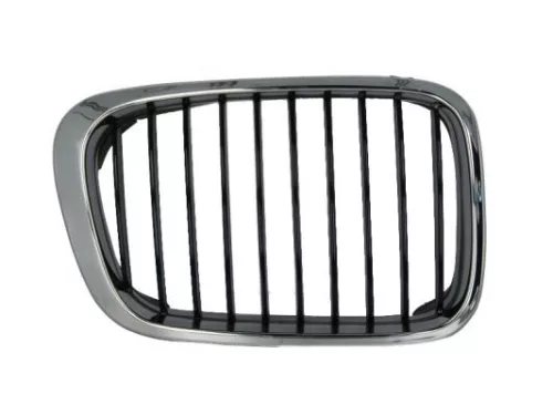 Radiator Grille