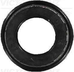 Seal Ring, valve stem