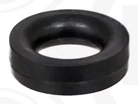 Seal Ring, valve stem