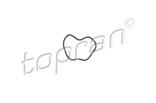 Gasket, crankcase ventilation