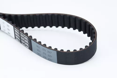 Timing Belt