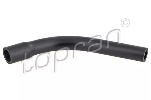 Hose, cylinder head cover ventilation