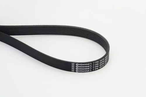 V-ribbed Belt