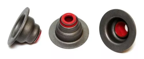 Seal Ring, valve stem