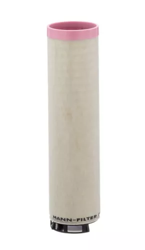 Secondary Air Filter