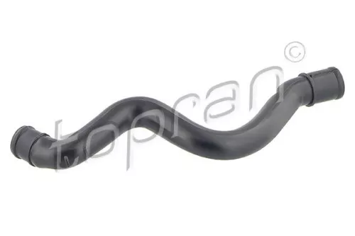 Hose, cylinder head cover ventilation