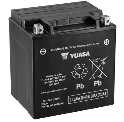 Starter Battery