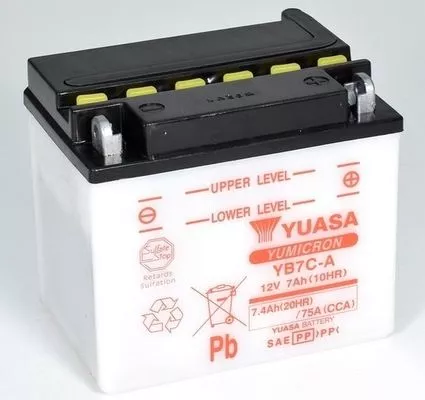 Starter Battery