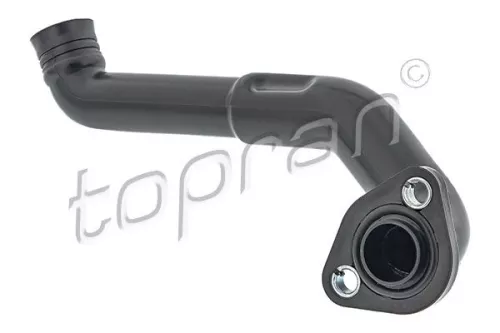 Hose, cylinder head cover ventilation