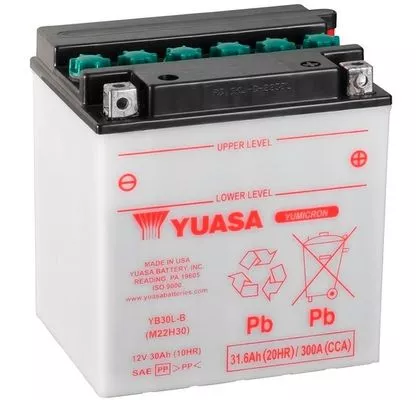 Starter Battery