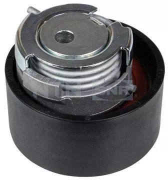 Tensioner Pulley, timing belt