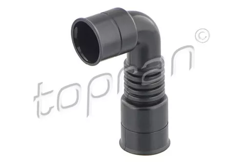 Hose, cylinder head cover ventilation