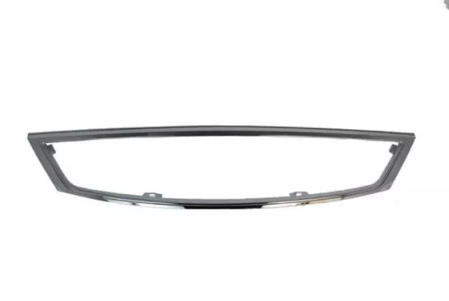 Trim/Protection Strip, radiator grille