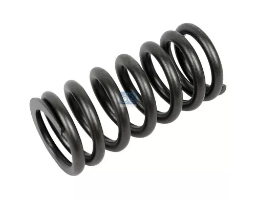 Valve Spring