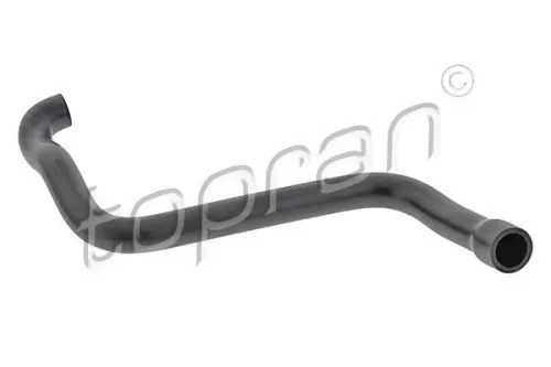 Hose, cylinder head cover ventilation