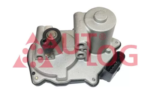 Control, swirl flaps (induction pipe)