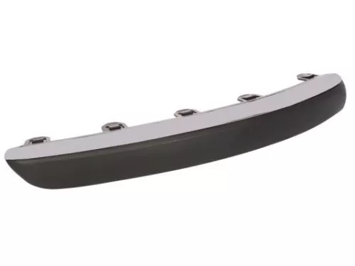 Trim/Protection Strip, bumper