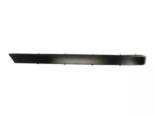 Trim/Protection Strip, bumper