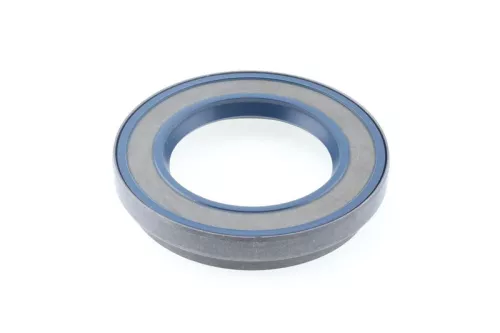 Shaft Seal, differential