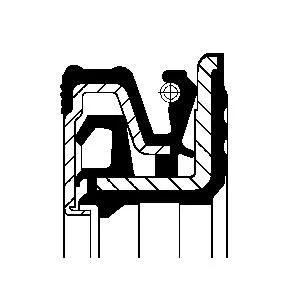 Shaft Seal, differential