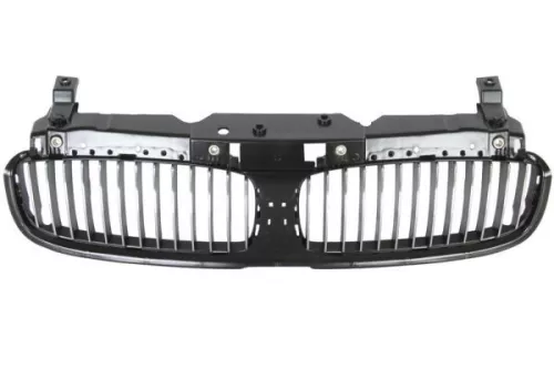 Radiator Grille