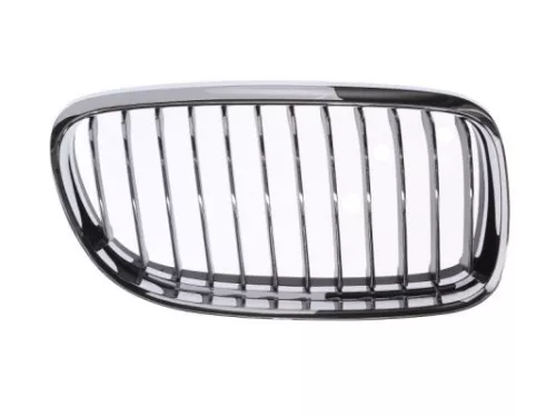Radiator Grille