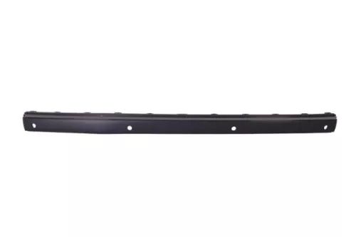 Trim/Protection Strip, bumper