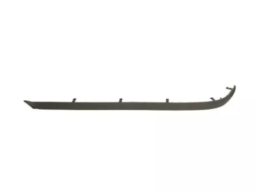 Trim/Protection Strip, bumper
