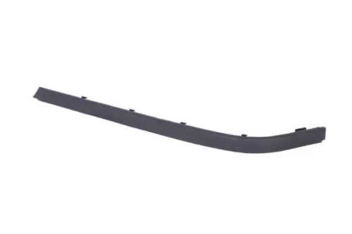 Trim/Protection Strip, bumper