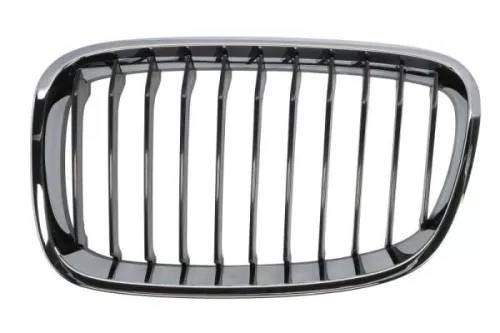 Radiator Grille
