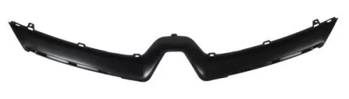 Trim/Protection Strip, radiator grille