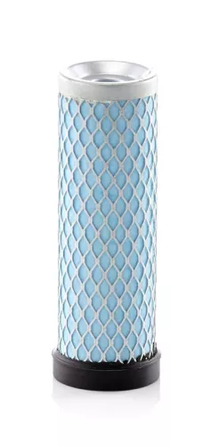 Secondary Air Filter