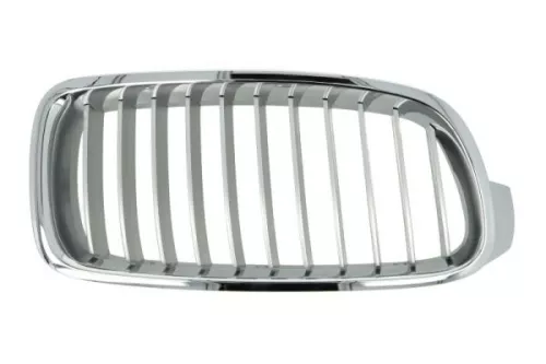 Radiator Grille
