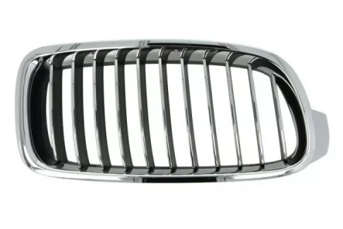 Radiator Grille
