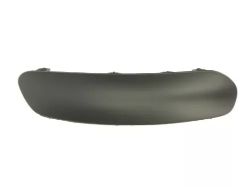 Trim/Protection Strip, bumper