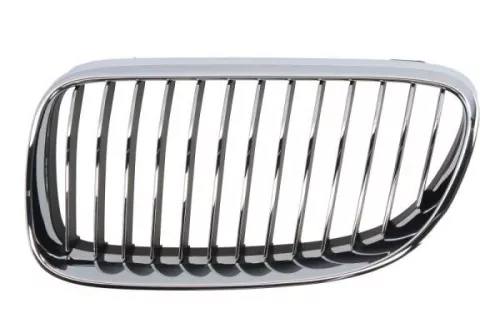 Radiator Grille
