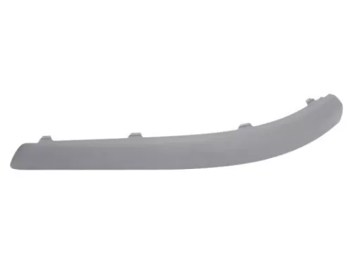 Trim/Protection Strip, bumper