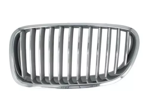 Radiator Grille