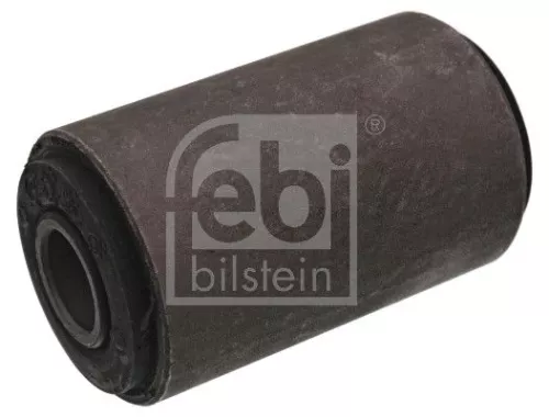 Bushing, leaf spring