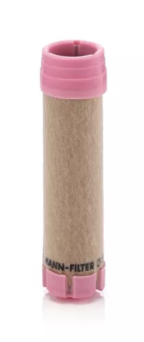 Secondary Air Filter