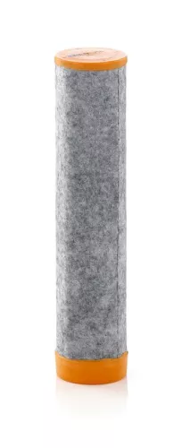 Secondary Air Filter