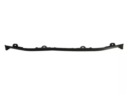 Trim/Protection Strip, bumper