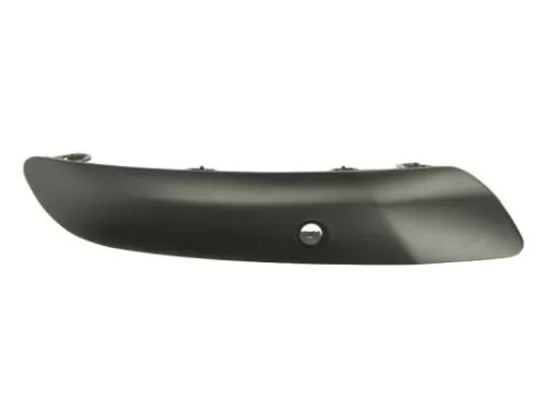 Trim/Protection Strip, bumper