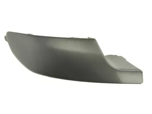 Trim/Protection Strip, bumper