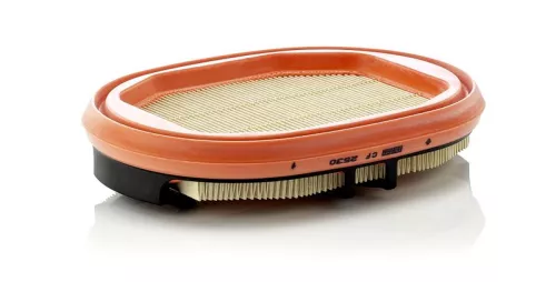 Secondary Air Filter