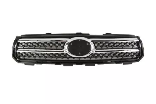Radiator Grille