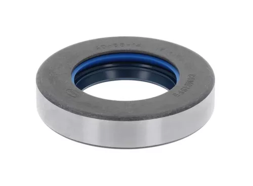 Shaft Seal, differential