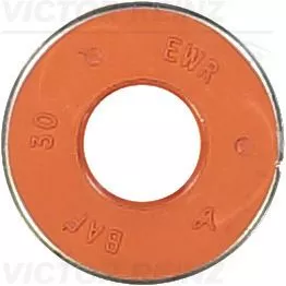 Seal Ring, valve stem