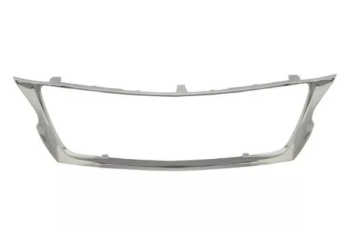 Trim/Protection Strip, radiator grille
